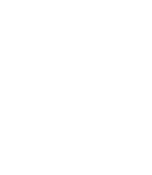 Solution Cargo Logo
