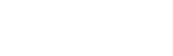 Solution Cargo Logo